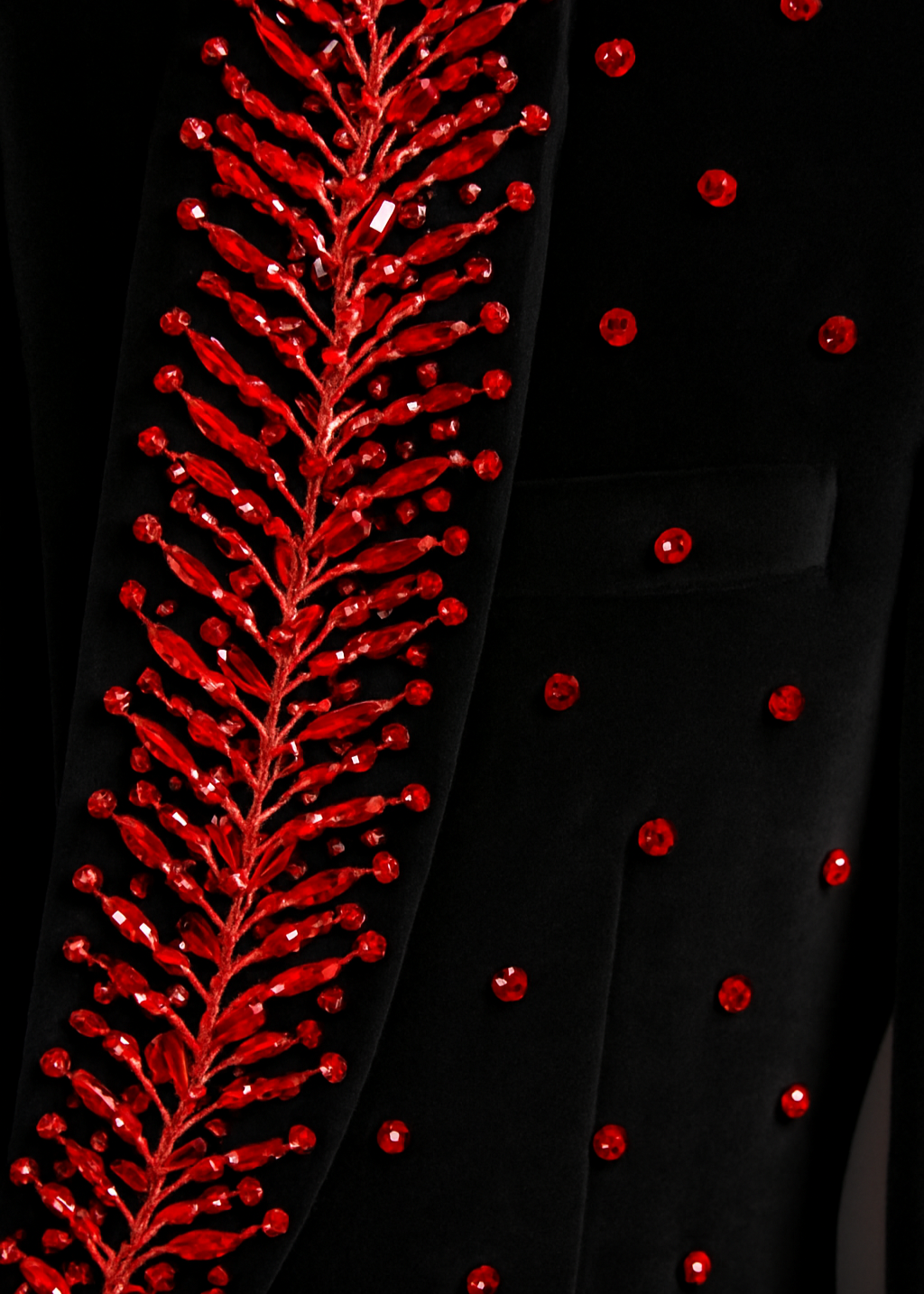 Black Velvet Red Embroidered Tuxedo